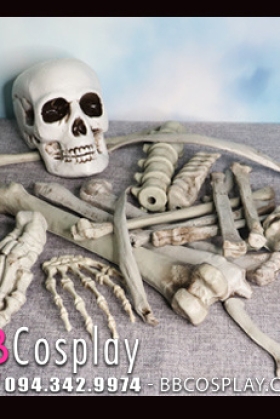 Bộ Xương Người Mô Hình Rời Tỷ Lệ Thật - Bộ Xương Rời Trang Trí Halloween