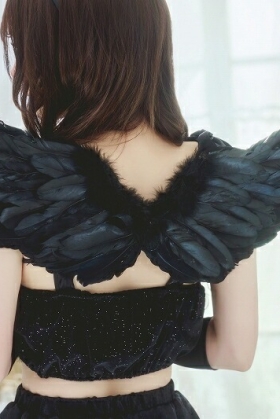 Cánh Ác Quỷ Lông Ngỗng Đen 60X30Cm