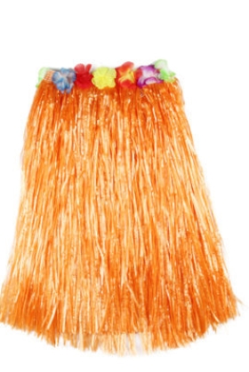 Trang Phục Hawaii Màu Cam