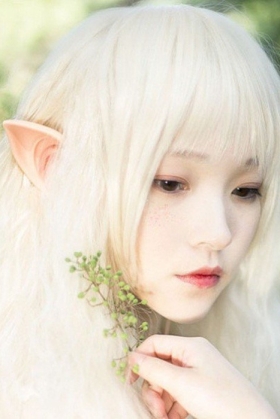 Tai Tinh Linh - Thiên Linh Cực Xinh Kích Thước 10X4Cm